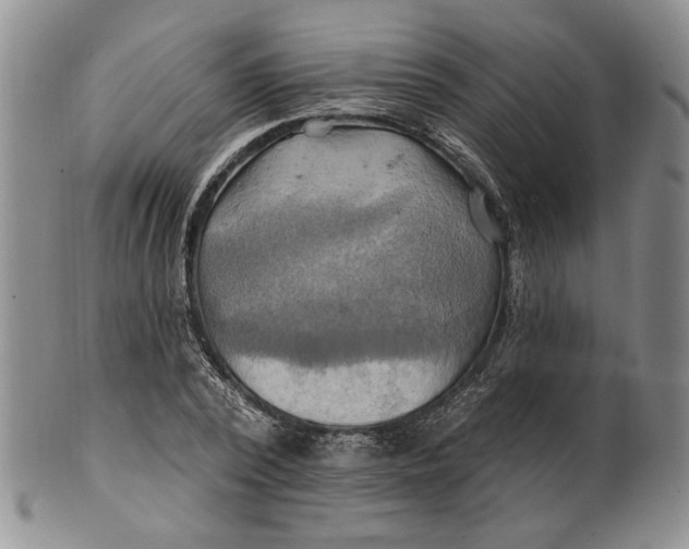 X0000100780784200807101815