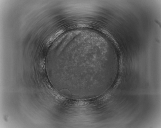 X0000100780785200807101815