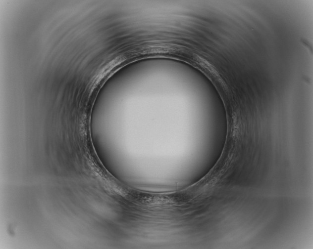 X0000100780786200807101815