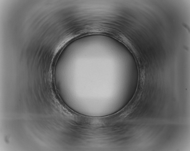 X0000100780787200807101815