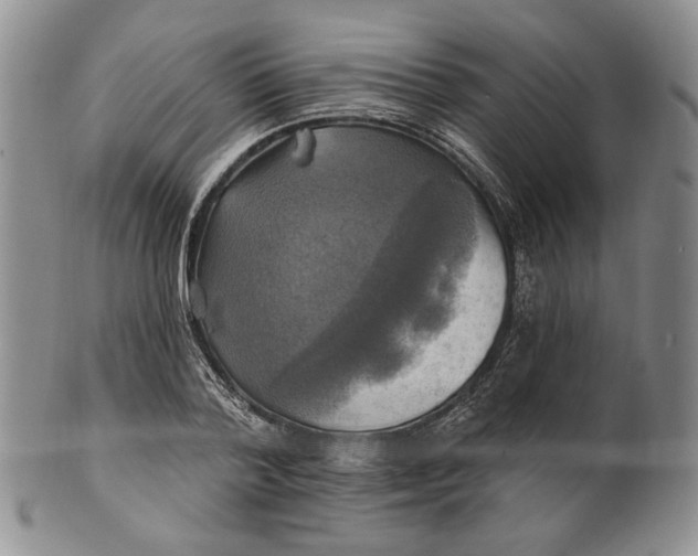 X0000100780788200807101815