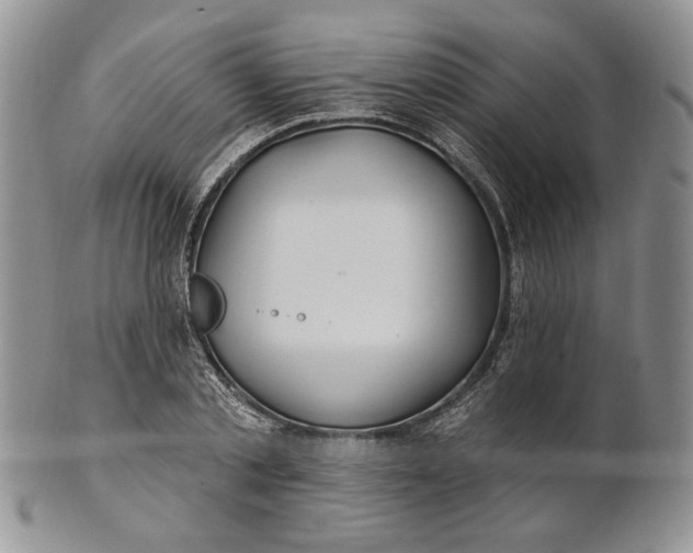 X0000100780789200807101815