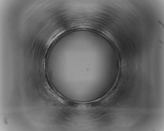 X0000100780790200807101815