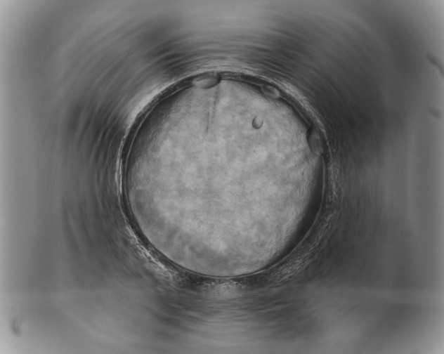 X0000100780791200807101815