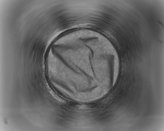 X0000100780792200807101815