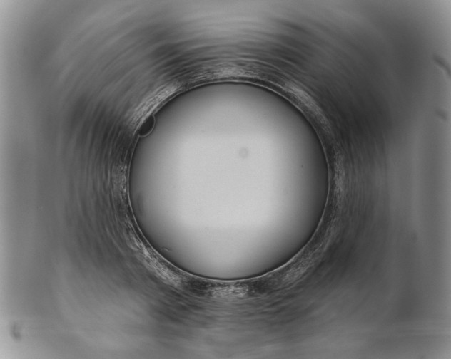 X0000100780793200807101815