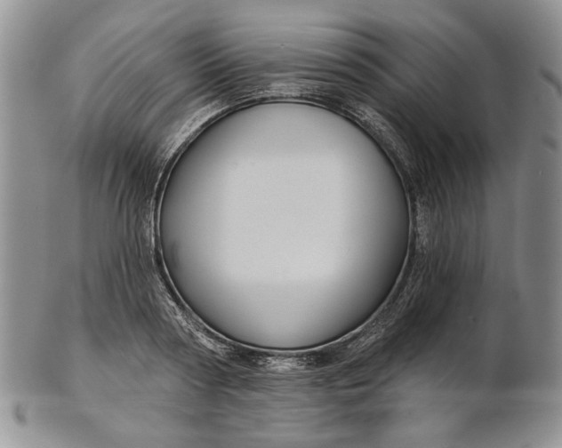 X0000100780794200807101815