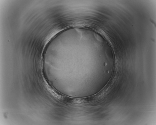 X0000100780795200807101815