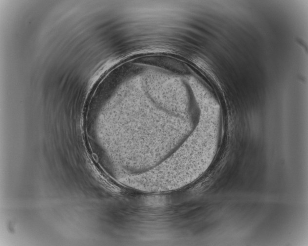 X0000100780797200807101815