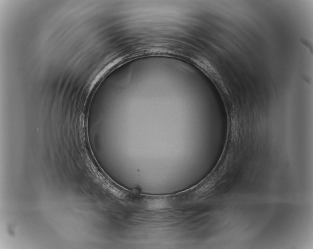 X0000100780798200807101815