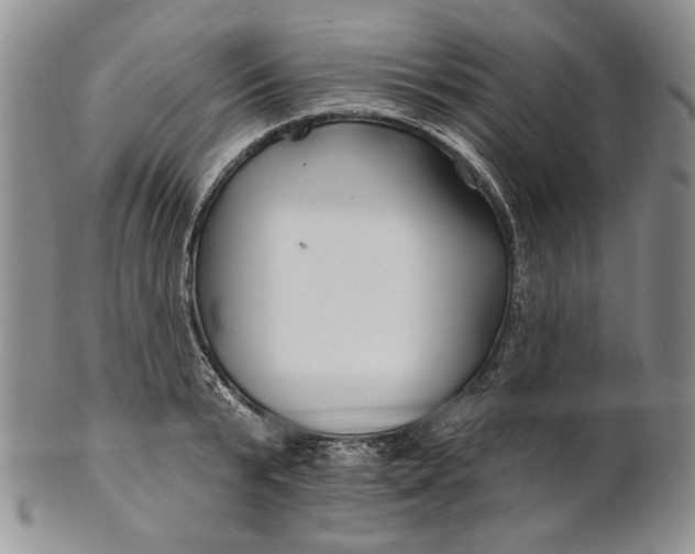 X0000100780799200807101815