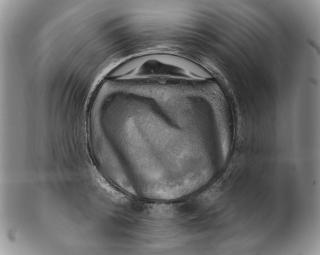 X0000100780800200807101815