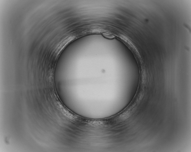 X0000100780801200807101815