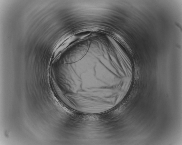 X0000100780802200807101815