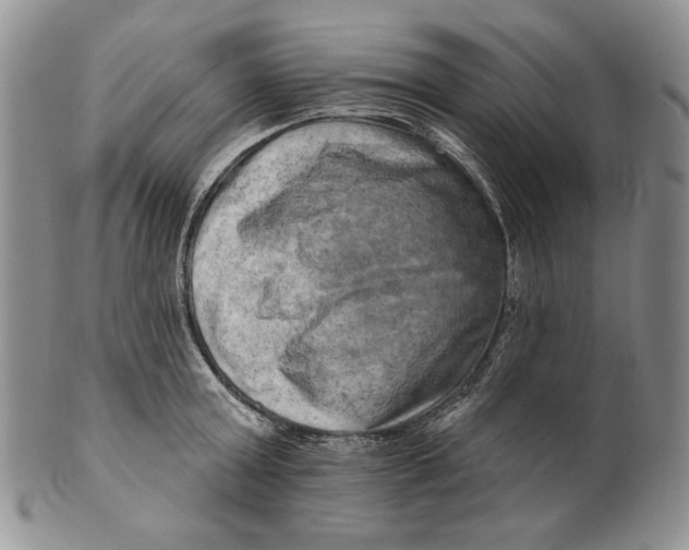 X0000100780803200807101815