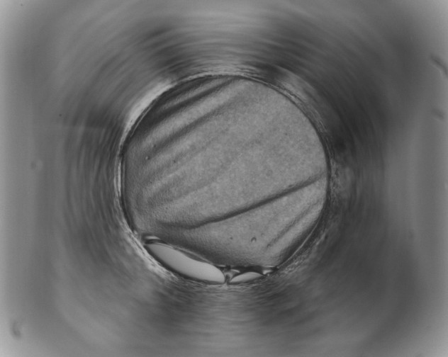 X0000100780804200807101815