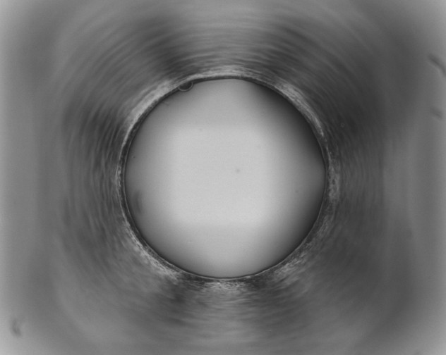 X0000100780805200807101815