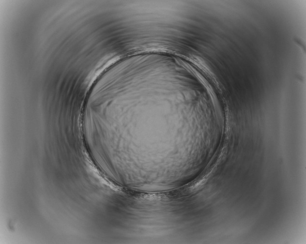 X0000100780806200807101815