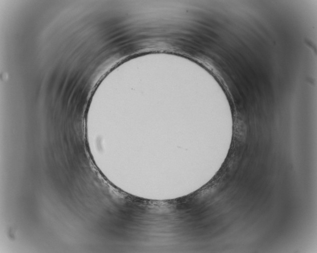 X0000100780807200807101815