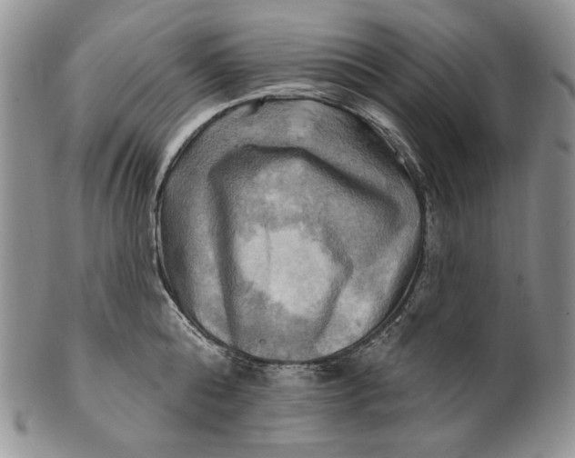 X0000100780808200807101815