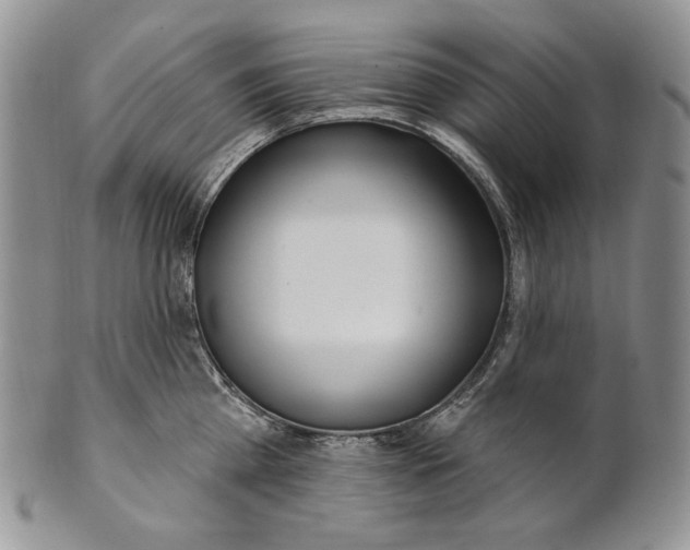 X0000100780809200807101815