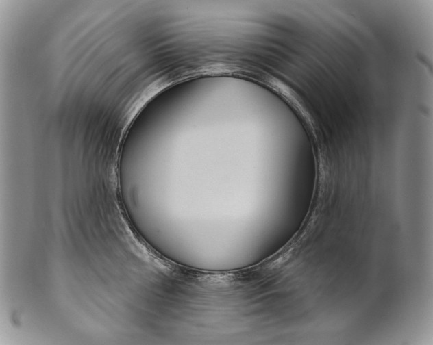 X0000100780810200807101815