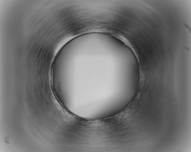 X0000100780811200807101815