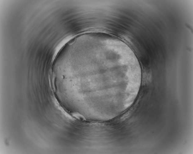 X0000100780812200807101815