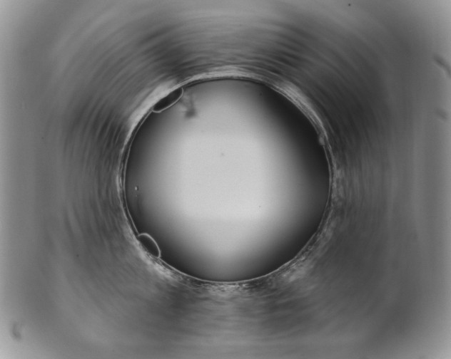 X0000100780813200807101815