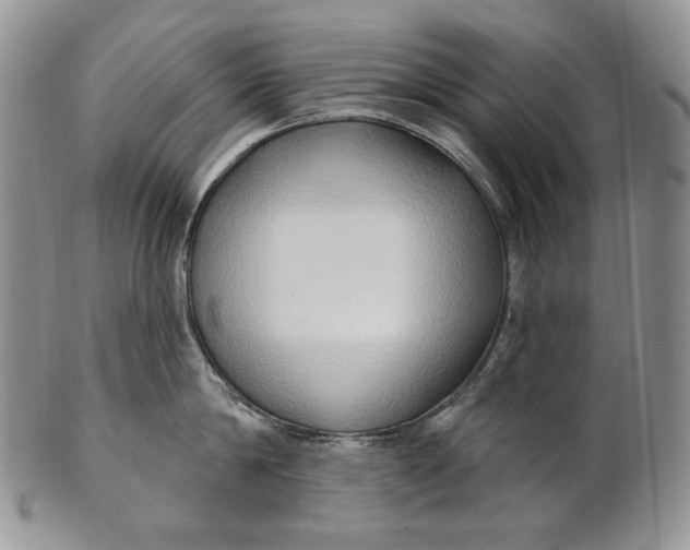 X0000100780814200807101815