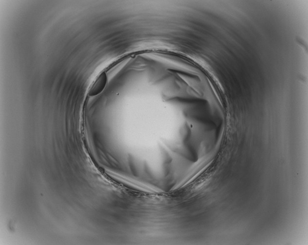 X0000100780815200807101815