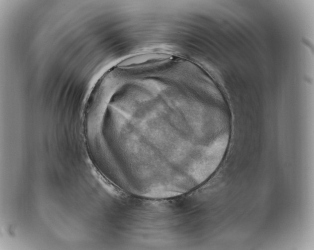 X0000100780816200807101815