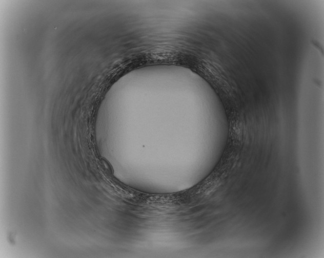 X0000100780817200807101814