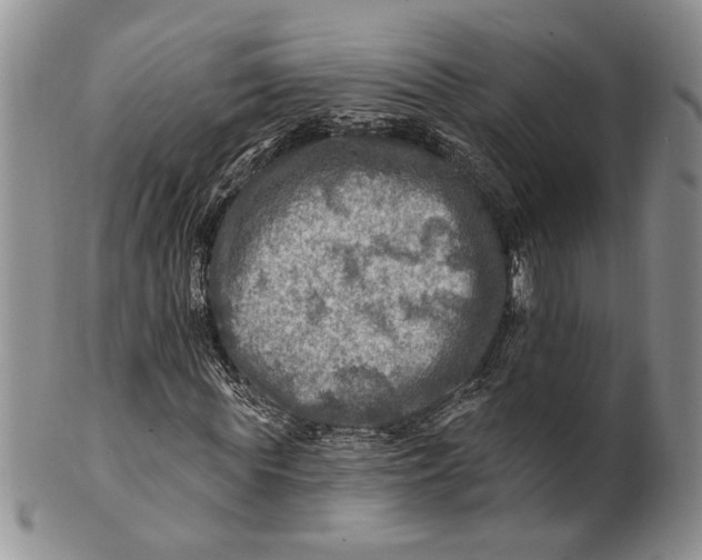 X0000100780819200807101814