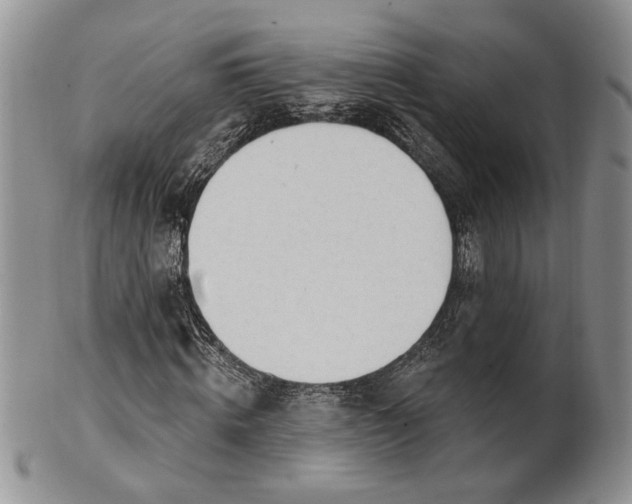 X0000100780820200807101814