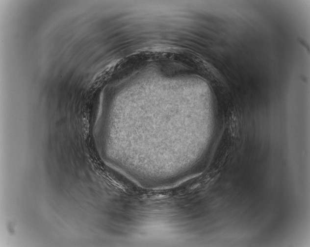 X0000100780821200807101814