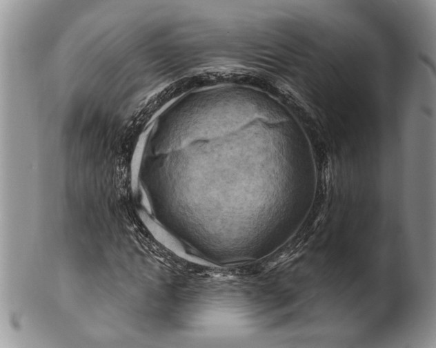 X0000100780822200807101814