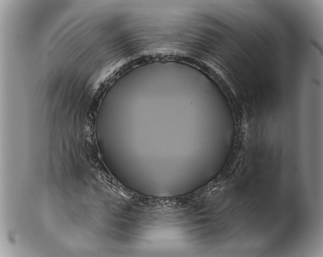 X0000100780823200807101814