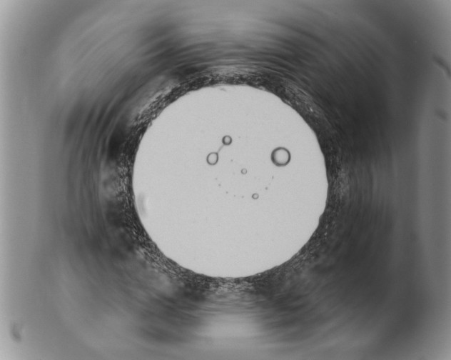 X0000100780824200807101814