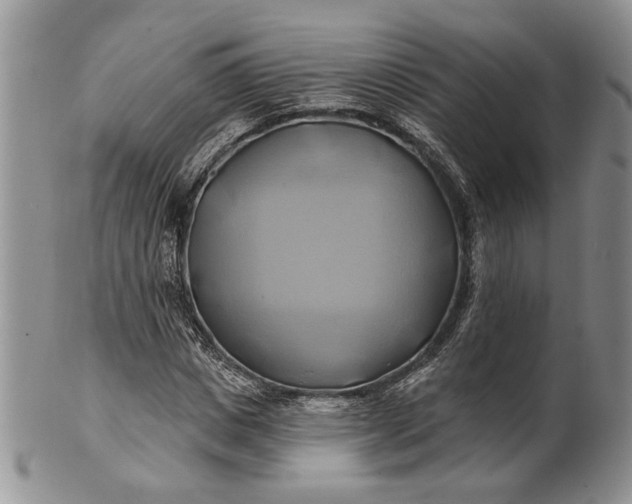 X0000100780825200807101814