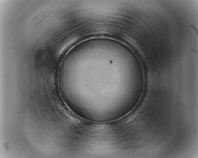 X0000100780826200807101814