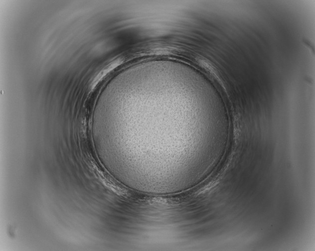 X0000100780827200807101814