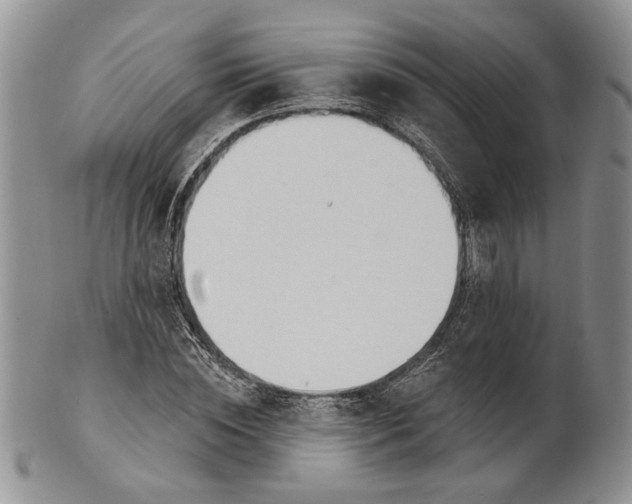 X0000100780828200807101814