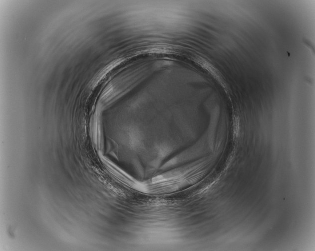 X0000100780829200807101814