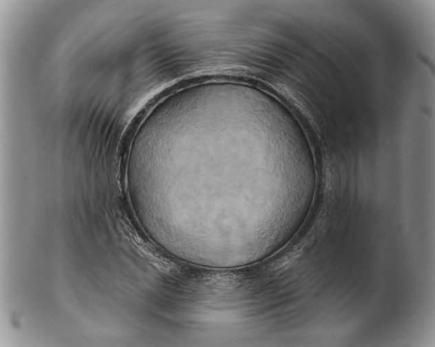 X0000100780830200807101814