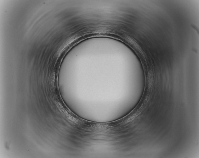 X0000100780831200807101814