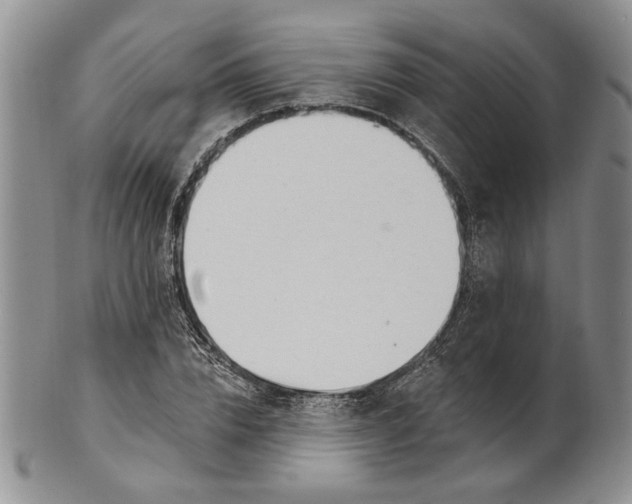 X0000100780832200807101814