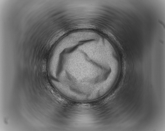 X0000100780833200807101814