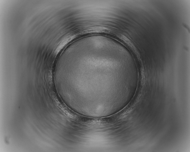 X0000100780834200807101814