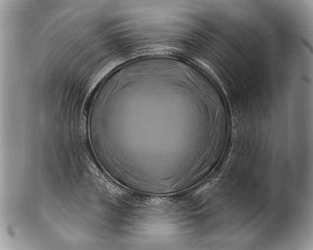 X0000100780835200807101814